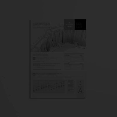 Business Executive Summary Template