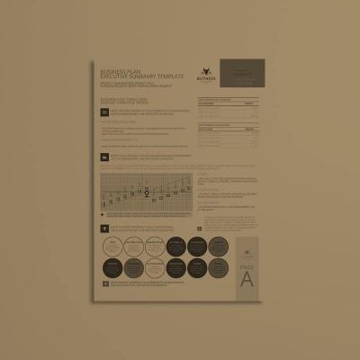 Business Plan Executive Summary Template