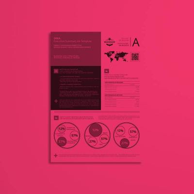 Deka Executive Summary A4 Template