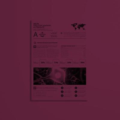 Delta Executive Summary A4 Template