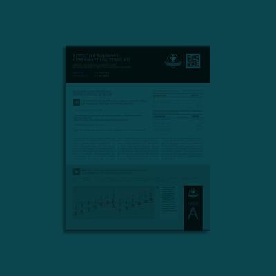Executive Summary Corporate USL Template