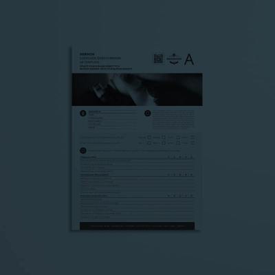 Merikon Customer Questionnaire A4 Template
