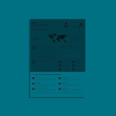 Pente Executive Summary A4 Template