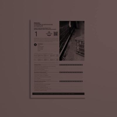 Provoli Customer Questionnaire A4 Template