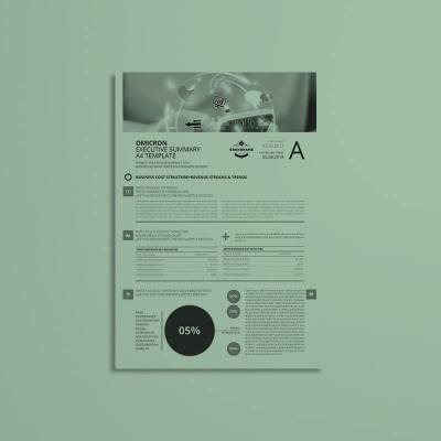 Sigma Executive Summary A4 Template
