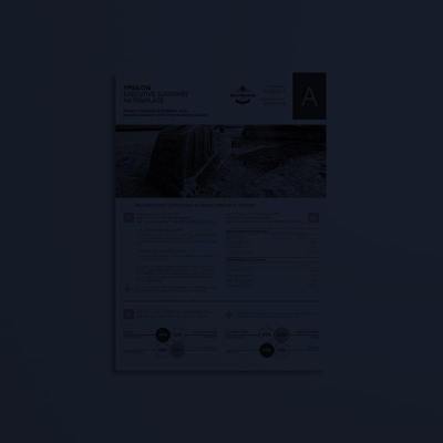 Ypsilon Executive Summary A4 Template
