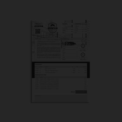 Biz Invoice Template A4