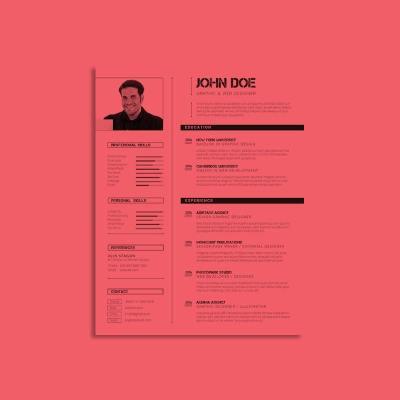 CV Template US Letter