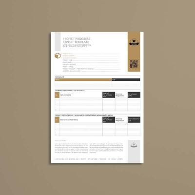 Project Progress Report Template
