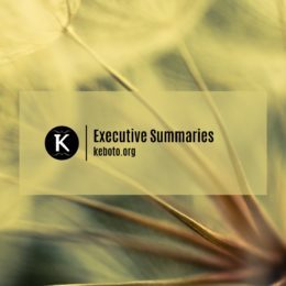Executive Summaries