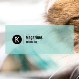 Magazines