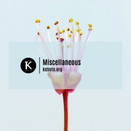 Miscellaneous