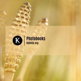 Photobooks