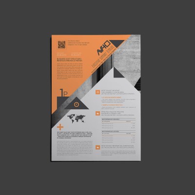 AViTO Executive Summary Template