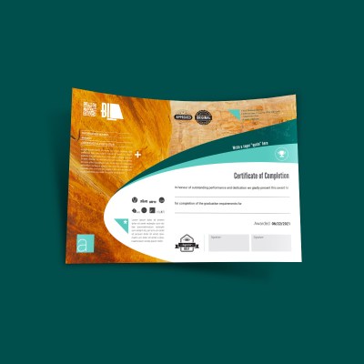 Bi4 Certificate of Completion Template