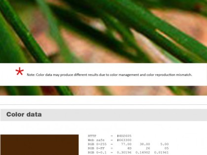 Keboto – Color Palette No109