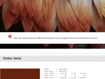 Keboto – Color Palette No113