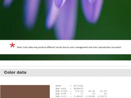 Keboto – Color Palette No114