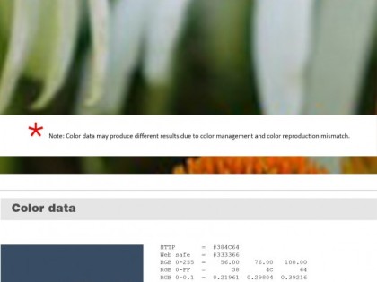 Keboto – Color Palette No115