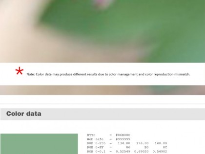 Keboto – Color Palette No116