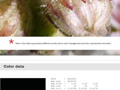 Keboto – Color Palette No121