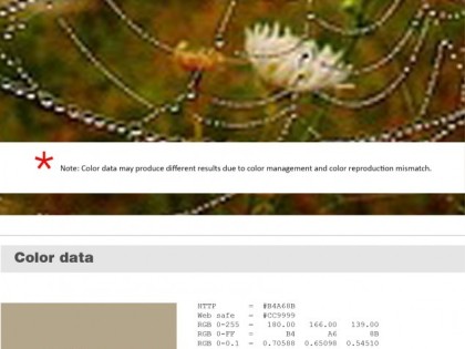 Keboto – Color Palette No125