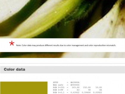 Keboto – Color Palette No128