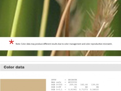 Keboto – Color Palette No134