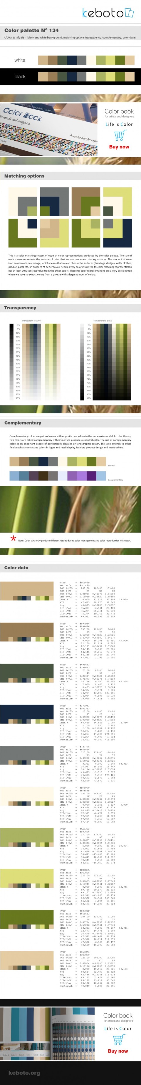 Keboto - Color Palette No134