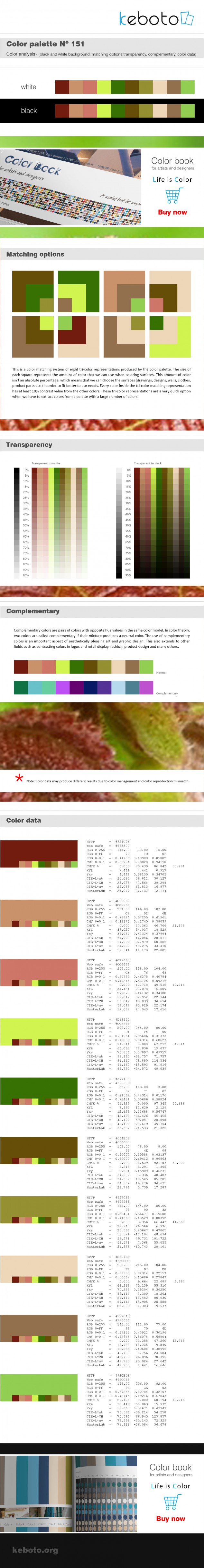 Keboto - Color Palette No151