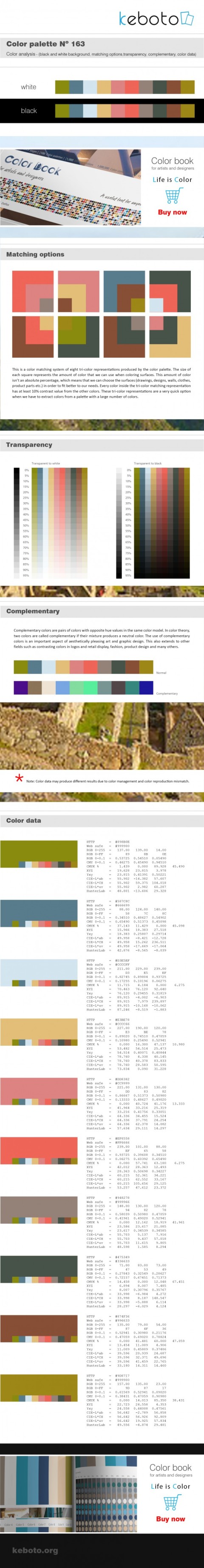 Keboto - Color Palette No163