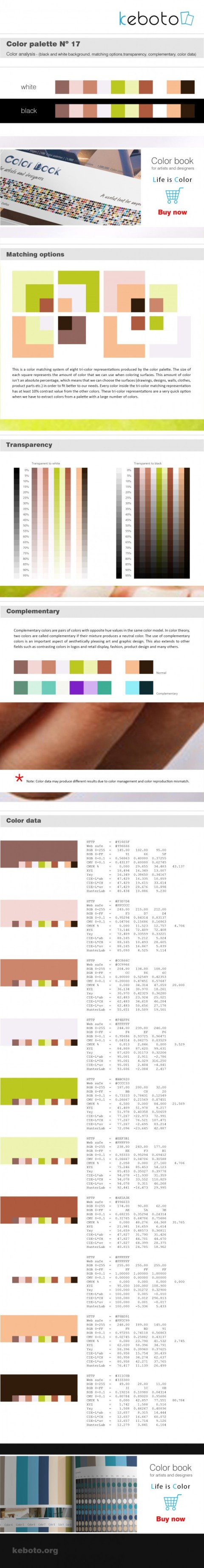 Keboto - Color Palette No17