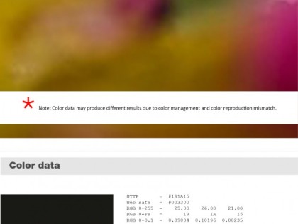 Keboto – Color Palette No51