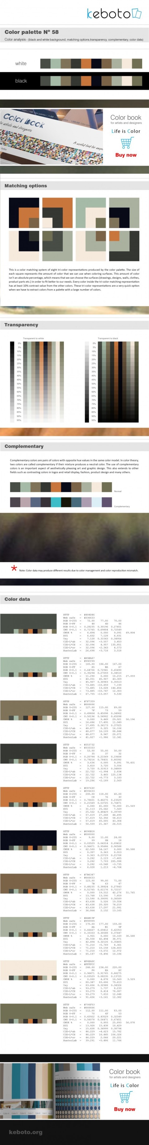 Keboto - Color Palette No58