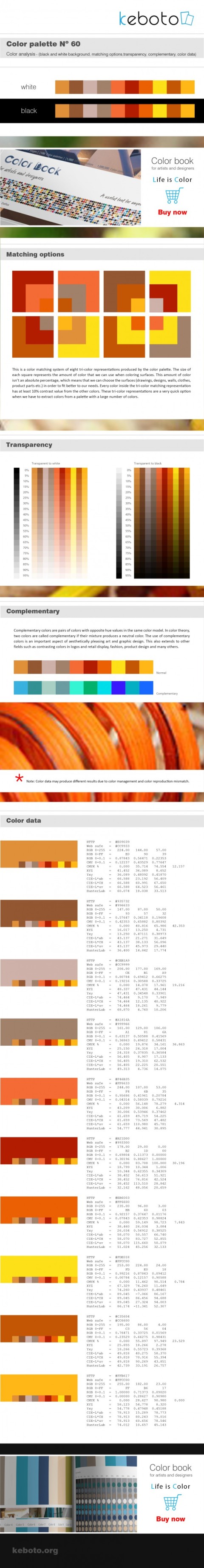 Keboto - Color Palette No60