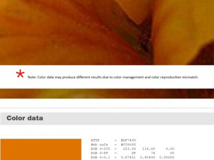 Keboto – Color Palette No64
