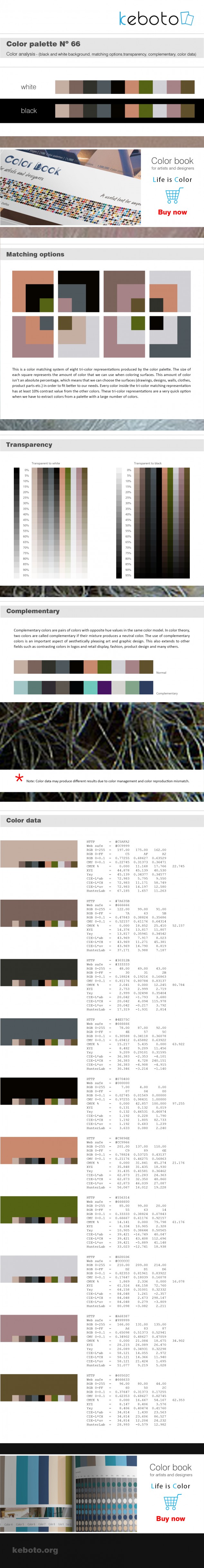 Keboto - Color Palette No66