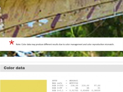 Keboto – Color Palette No69
