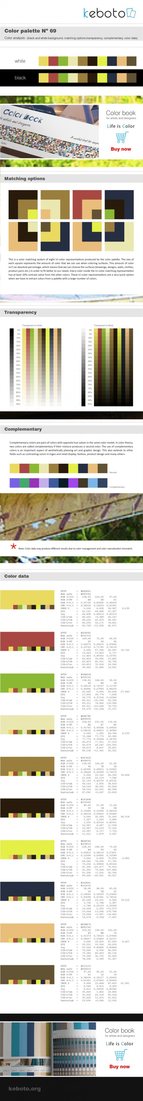 Keboto - Color Palette No69