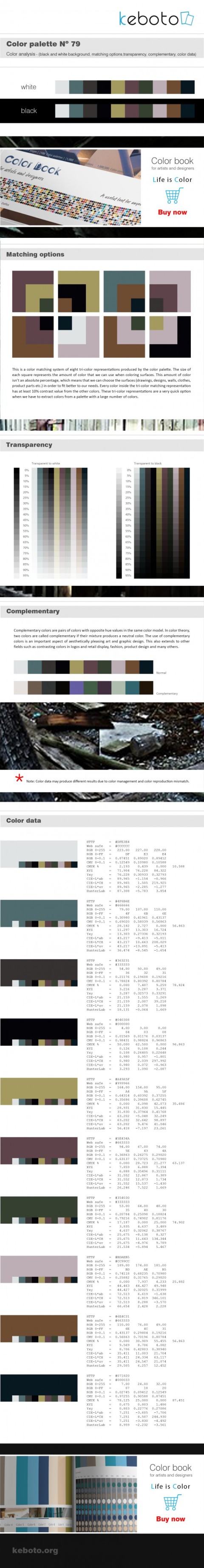 Keboto - Color Palette No79