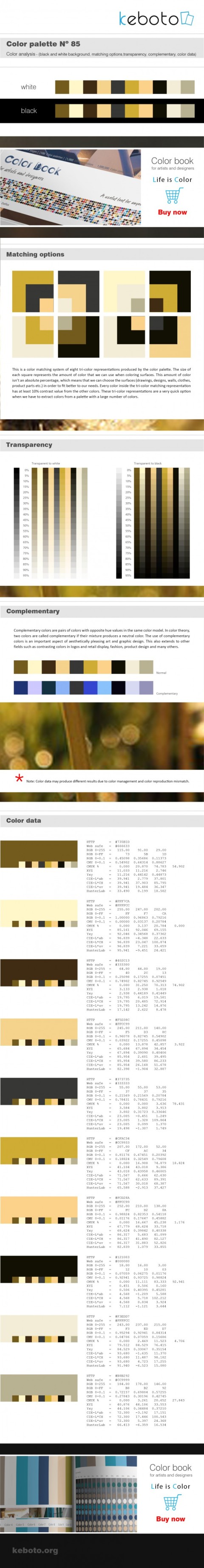 Keboto - Color Palette No85