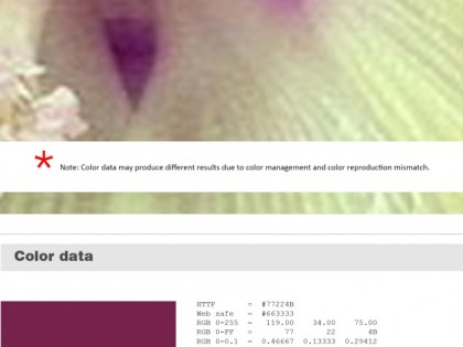 Keboto – Color Palette No87