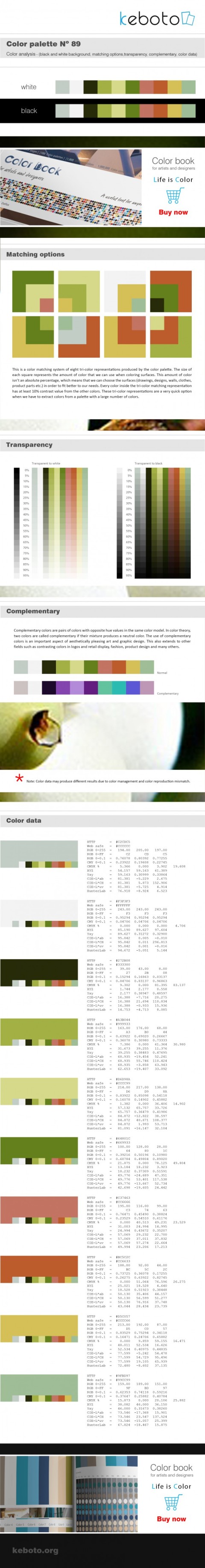 Keboto - Color Palette No89