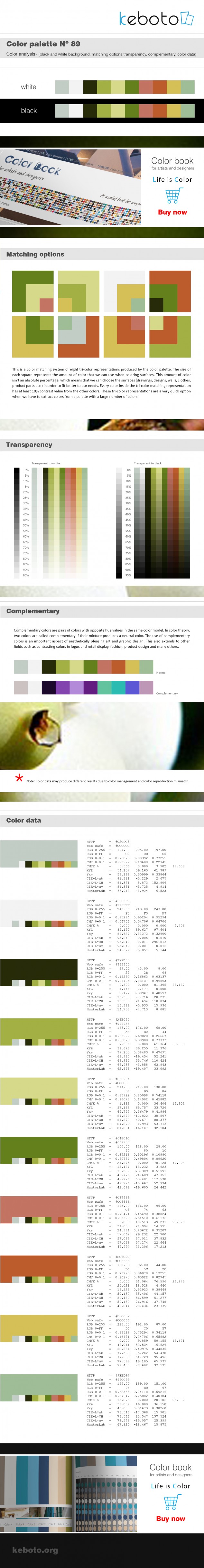 Keboto - Color Palette No89