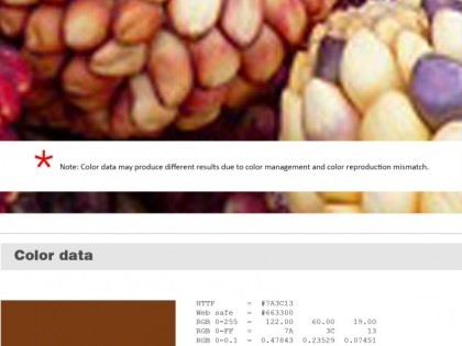 Keboto – Color Palette No91