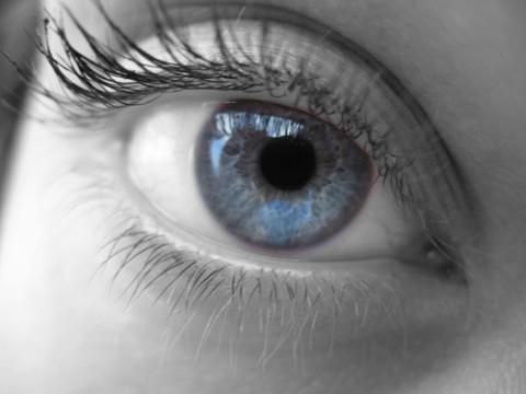 Color Blindness – Dichromacy