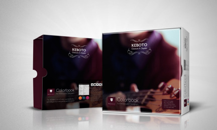 Colorbook for artist and designers PACK A C Preview Mockup 432x259 home