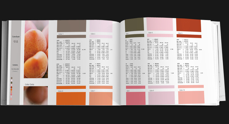 Color Book for artists and designers Pack A-C s5