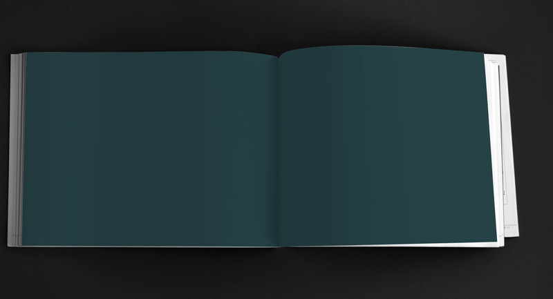 Japanese Indigo