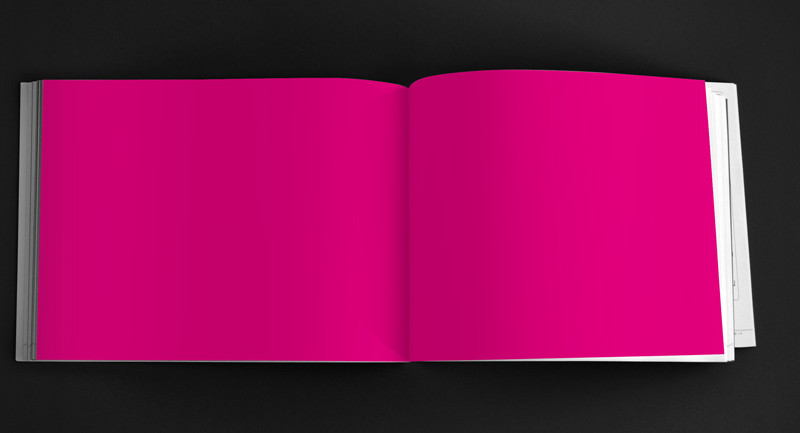 Mexican Pink